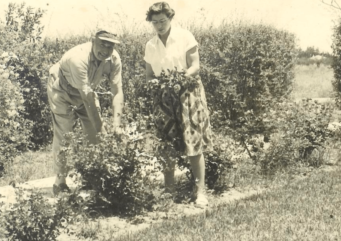 Riek helpt haar vader in de tuin, 1957