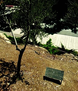 Lutgendorff Yad Vashem