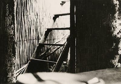 Trap naar een ondergrondse schuilplaats in het Pas Op-kamp. Beeld: Ghetto Fighters House Archives