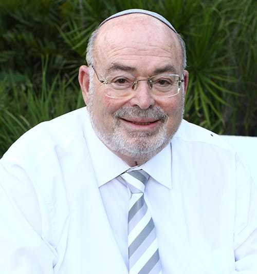 Meir Bier (Hachsjara)
