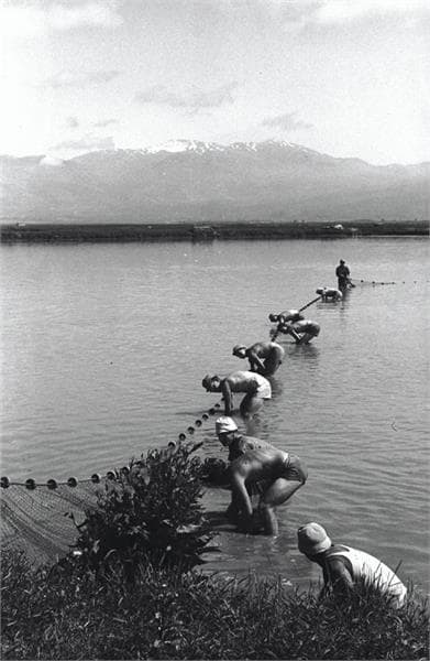 Kfar Blum, 1947. De visvijvers, met op de horizon de in nevel gehulde Mount Hermon. Beeld: JNF photo archiv